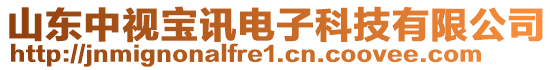 山東中視寶訊電子科技有限公司