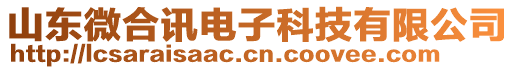 山東微合訊電子科技有限公司