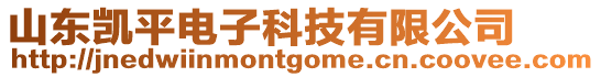 山東凱平電子科技有限公司