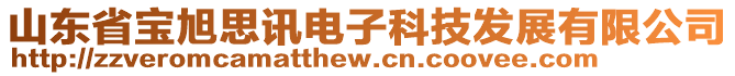 山東省寶旭思訊電子科技發(fā)展有限公司