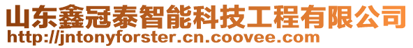 山東鑫冠泰智能科技工程有限公司