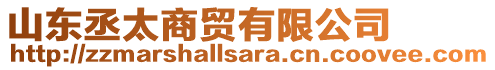 山東丞太商貿(mào)有限公司