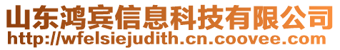 山東鴻賓信息科技有限公司