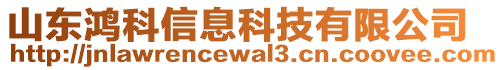 山東鴻科信息科技有限公司