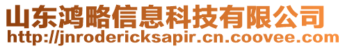 山東鴻略信息科技有限公司