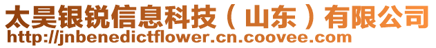 太昊銀銳信息科技（山東）有限公司