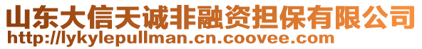 山東大信天誠非融資擔保有限公司