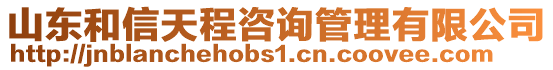 山東和信天程咨詢管理有限公司