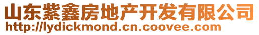 山東紫鑫房地產(chǎn)開發(fā)有限公司