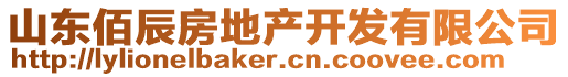 山東佰辰房地產開發有限公司