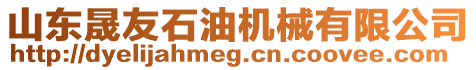 山東晟友石油機(jī)械有限公司