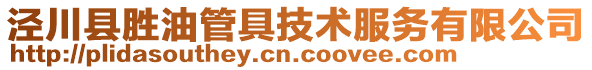 涇川縣勝油管具技術服務有限公司