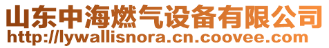 山東中海燃氣設備有限公司