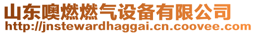 山東噢燃燃?xì)庠O(shè)備有限公司