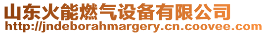 山東火能燃?xì)庠O(shè)備有限公司