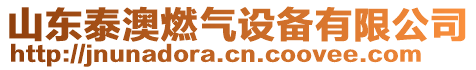 山東泰澳燃?xì)庠O(shè)備有限公司