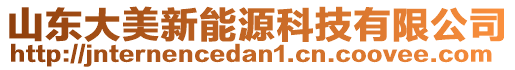 山東大美新能源科技有限公司