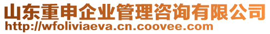 山東重申企業(yè)管理咨詢有限公司