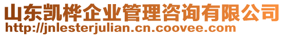 山東凱樺企業(yè)管理咨詢有限公司