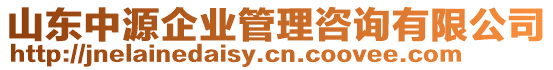 山東中源企業(yè)管理咨詢有限公司