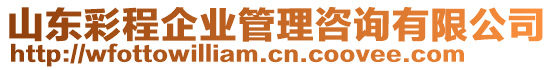 山東彩程企業(yè)管理咨詢有限公司