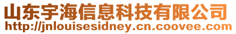 山東宇海信息科技有限公司