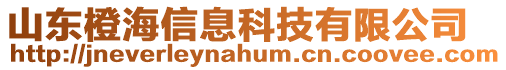 山東橙海信息科技有限公司