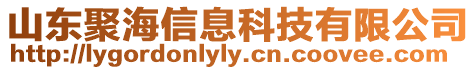 山東聚海信息科技有限公司