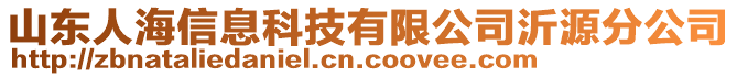 山東人海信息科技有限公司沂源分公司