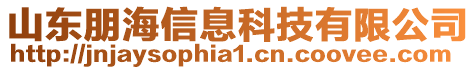 山東朋海信息科技有限公司