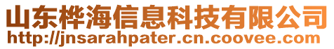 山東樺海信息科技有限公司