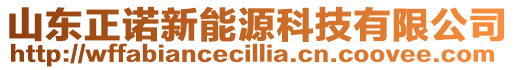 山東正諾新能源科技有限公司