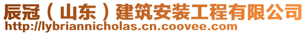 辰冠（山東）建筑安裝工程有限公司