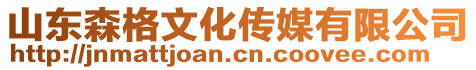 山東森格文化傳媒有限公司