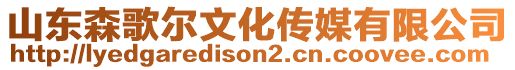 山東森歌爾文化傳媒有限公司