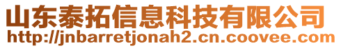 山東泰拓信息科技有限公司