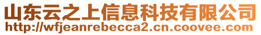 山東云之上信息科技有限公司