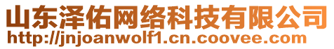 山東澤佑網(wǎng)絡(luò)科技有限公司