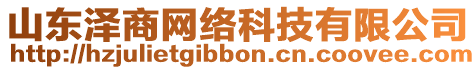 山東澤商網(wǎng)絡(luò)科技有限公司