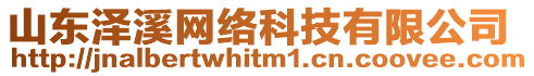 山東澤溪網絡科技有限公司