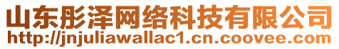 山東彤澤網(wǎng)絡科技有限公司