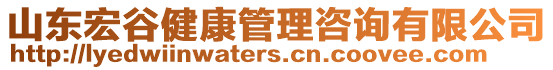 山東宏谷健康管理咨詢有限公司