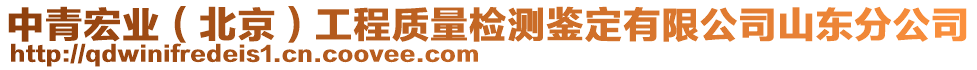 中青宏業(yè)（北京）工程質(zhì)量檢測鑒定有限公司山東分公司