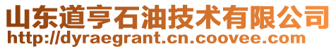 山東道亨石油技術(shù)有限公司