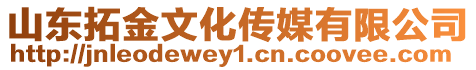 山東拓金文化傳媒有限公司