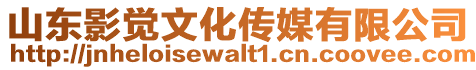 山東影覺文化傳媒有限公司