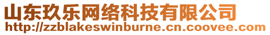 山東玖樂網絡科技有限公司