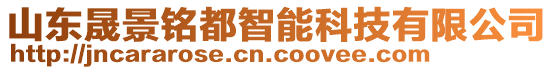 山東晟景銘都智能科技有限公司