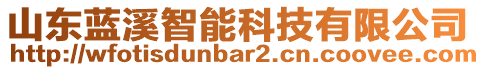 山東藍(lán)溪智能科技有限公司