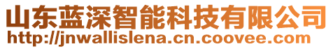 山東藍深智能科技有限公司
